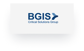 BGIS Logo