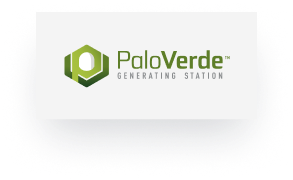PaloVerde